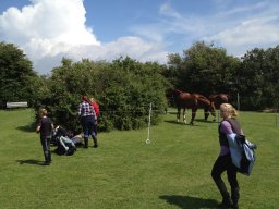 IMG_1365_web